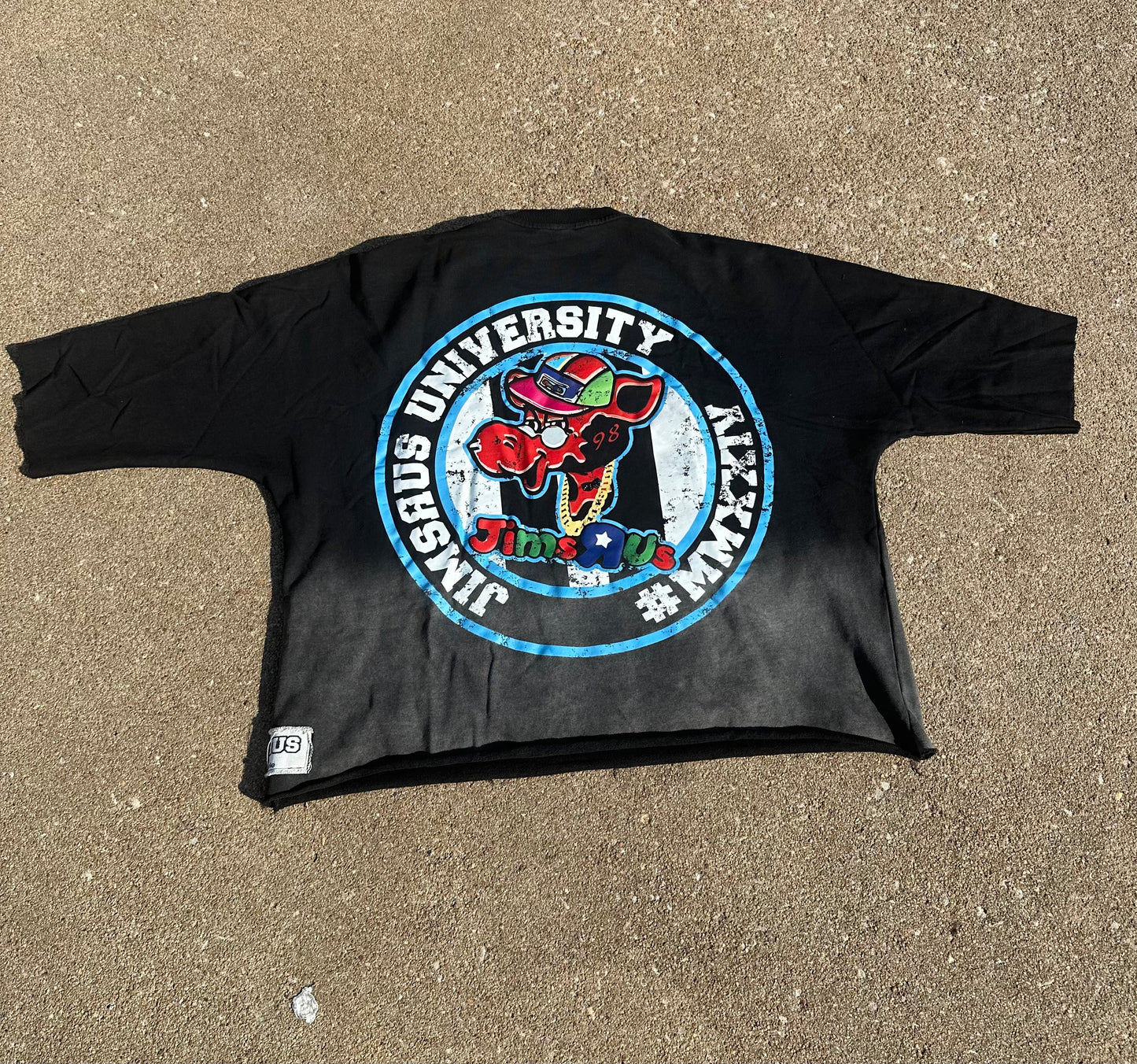 OVERSIZED CROPPED UNIVERSITY TEE